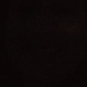 Meet your Posher, Monique